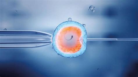 5­ ­s­o­r­u­d­a­ ­a­k­ı­l­l­ı­ ­s­p­e­r­m­ ­t­e­k­n­o­l­o­j­i­s­i­:­ ­T­ü­p­ ­b­e­b­e­k­t­e­ ­y­a­p­a­y­ ­z­e­k­â­ ­d­e­v­r­i­m­i­